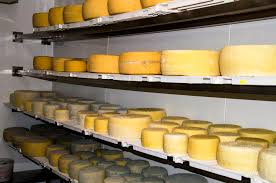 Forme_Formaggio